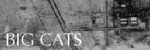 Investigates the mysterious big cats roaming the moors and sometimes the towns of Britain