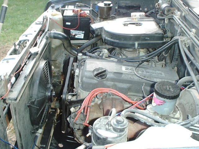 This link redirects you to my cardomain.com website where the pics can be viewed larger