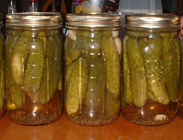 Click to see recipe of dill pickles