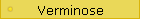 Verminose