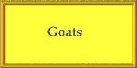 Goats