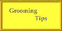 Grooming Tips