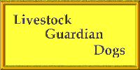 Livestock Guardian Dogs