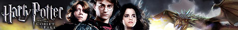 link to the Warner Bros. site