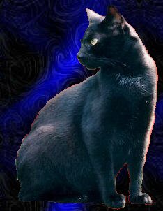 A Black Morsani