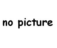 no pic