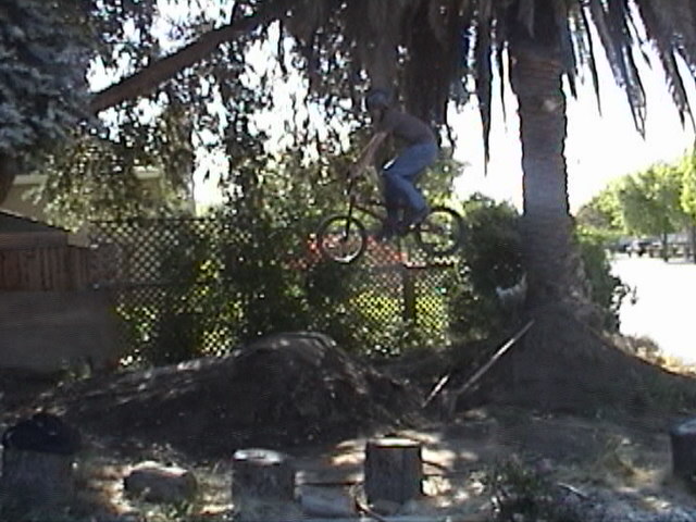 DSC00892.jpg