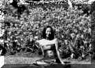 alice12.JPG (193851 bytes)