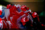 redroseb.JPG (58884 bytes)