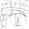 Headdress Rayven Knightwind gave Dulcy