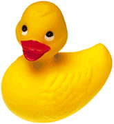 Quack!