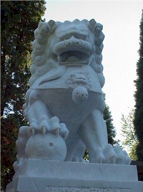 lion