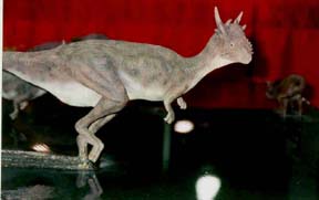 dino wading in water