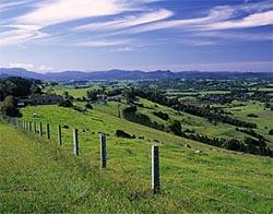 Bangalow, NSW