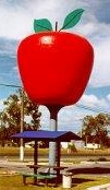 Apple, Stanthorpe, Queensland