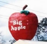 Apple,&nbsp; Spreyton, Tasmania