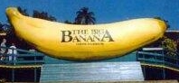The Big Banana, Coffs Harbour, NSW - built over 40 years ago, measures approx. 11m long, 5m wide and 2.5m high.
