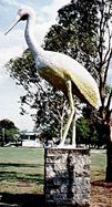 Brolga, Townsville, Queensland