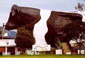 The Big Bull, Wauchope, NSW, with an animal nursery, milking display and views from the inside!