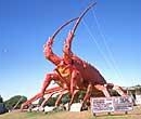 Lobster, Kingston, South Australia - over 18 metres tall!