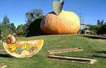 Mandarin, Mundubbera, Queensland - 'Citrus Capital of Queensland'