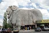 The Big Merino, Goulburn, NSW, stands 15 metres high!