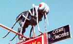 Mozzie, Hexham, NSW - 'Ozzie the Mozzie' built in celebration of 'Hexham Greys', the largest biting Mozzie in Aus!
