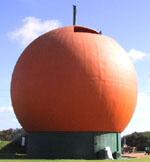 Orange, Berri, South Australia - situated in 'Big River Country'
