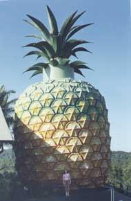 The Big Pineapple, Nambour, Queensland