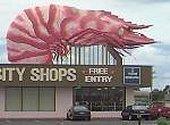 The Big Prawn, Ballina, NSW - built by the same people that built the Big Oyster!