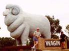Ram, Wagin, Western Australia - this 7 metre tall Ram is located in the centre of a wool and wheatgrowing area.
