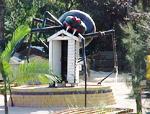 Redback Spider, Eight Mile Plains, Queensland