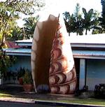 Shell, Tewantin, Queensland - boasts an unusual collection of coral, coloured sands and shells