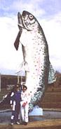 Trout, Adaminaby, New South Wales - the world's largest trout, a fibreglass structure sixteen metres high 
