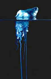 Click for Information on the Blue Bottle