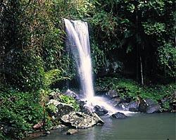 Curtis Falls, Qld