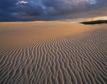 Fraser Island, Qld