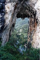 Click for Information on the Jenolan Caves