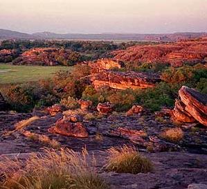 Kakadu, NT