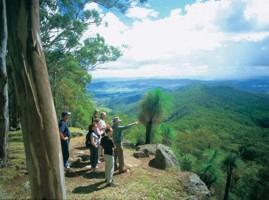 Lamington National Park, Qld