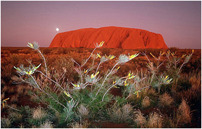 Click for Information on Uluru (Ayer's Rock)