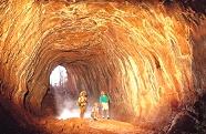 Click for Information on the Undara Lava Tubes