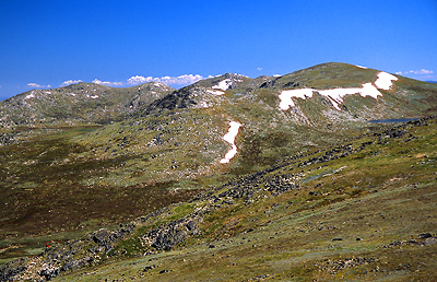 Click for Information on Mt Kosciuszko