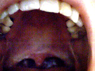 An intimate moment. Don't try this at home.