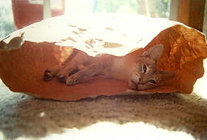 Melody playing bag lady.