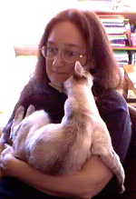 Sure is hard to see the screen with this cat attachment...