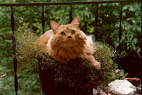 Click here to see the smile close-up!