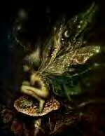 This is a kind little fairy that lives here with me.