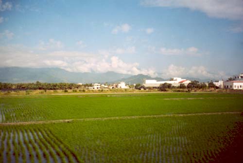 TW34_Feb2003
