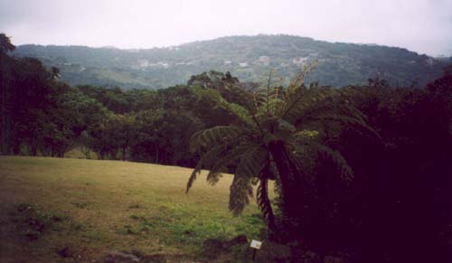 TW6_Feb2003